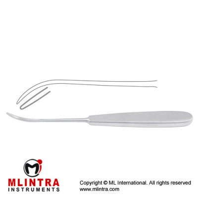 Koenig Ligature Conductor Stainless Steel, 19.5 cm - 7 3/4" Koenig Ligature Conductor Stainless Steel, 19.5 cm - 7 3/4"